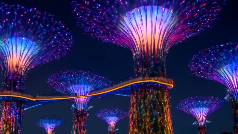 gardens by the bay tips