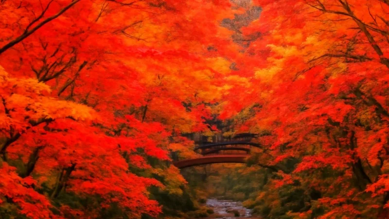 japan autumn foliage season