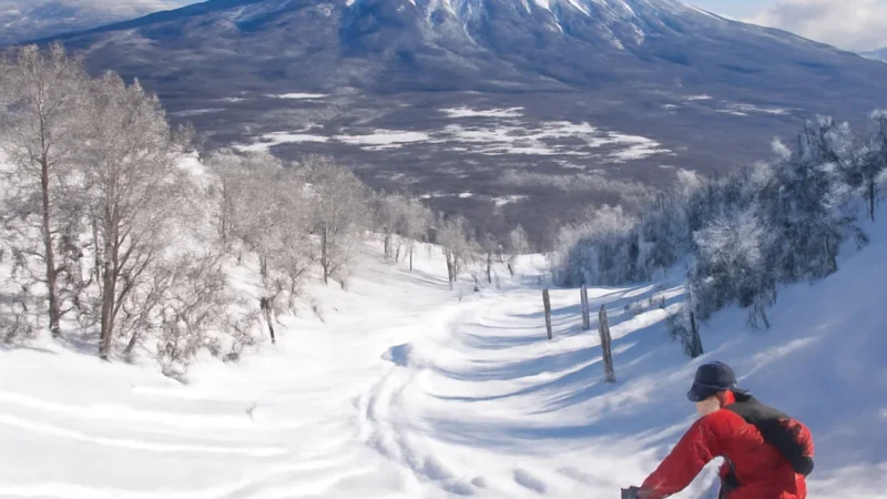niseko ski resort guide