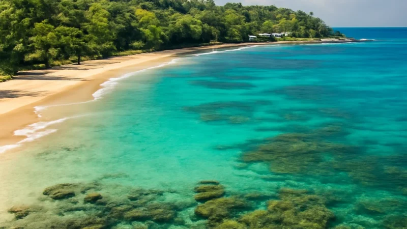 sri lanka beaches